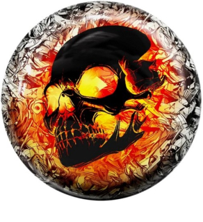 FB THE FIRE SKULL